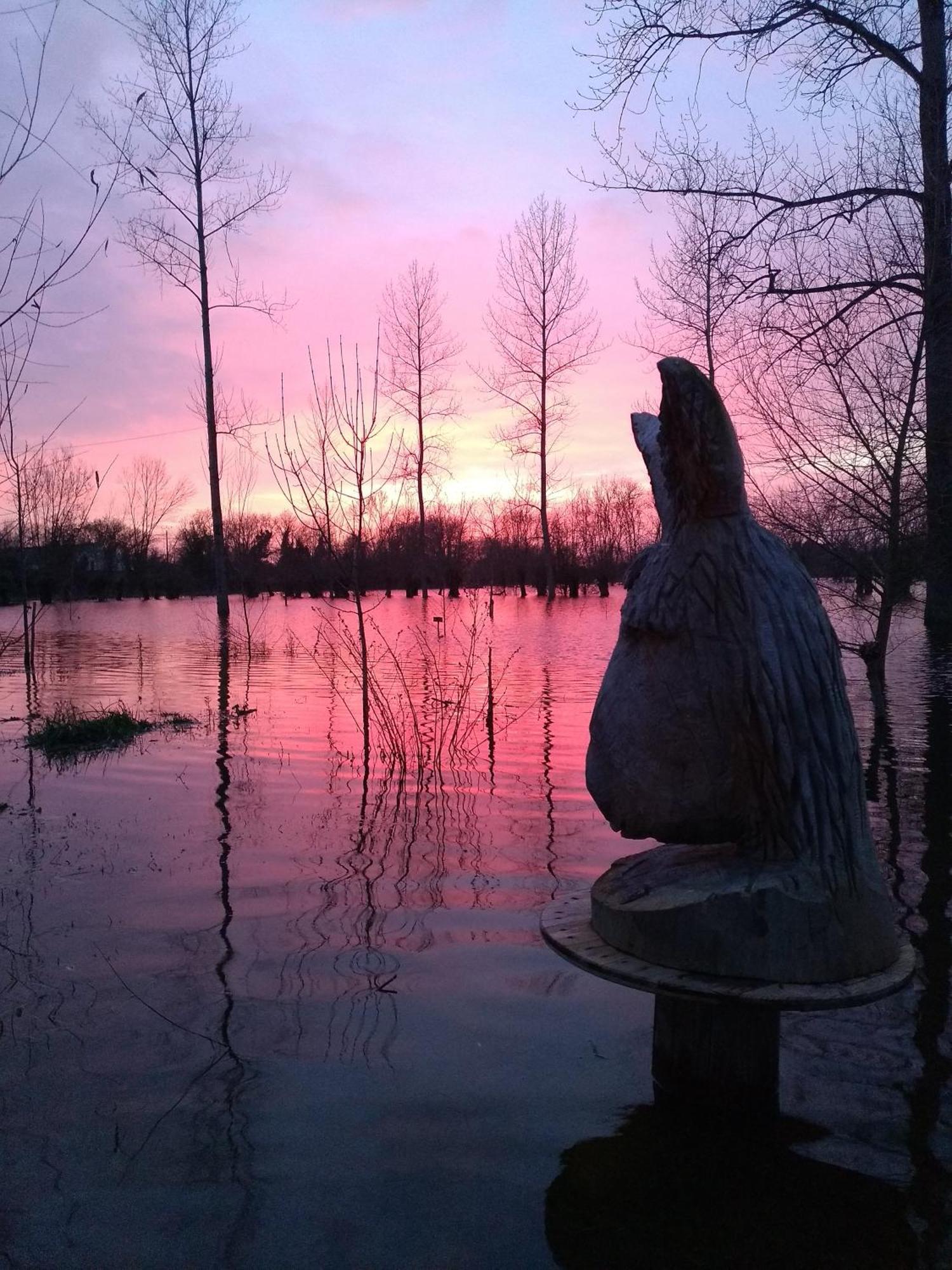 La Ferme Du Marais Poitevin - Roulotte Hotel Benet ภายนอก รูปภาพ
