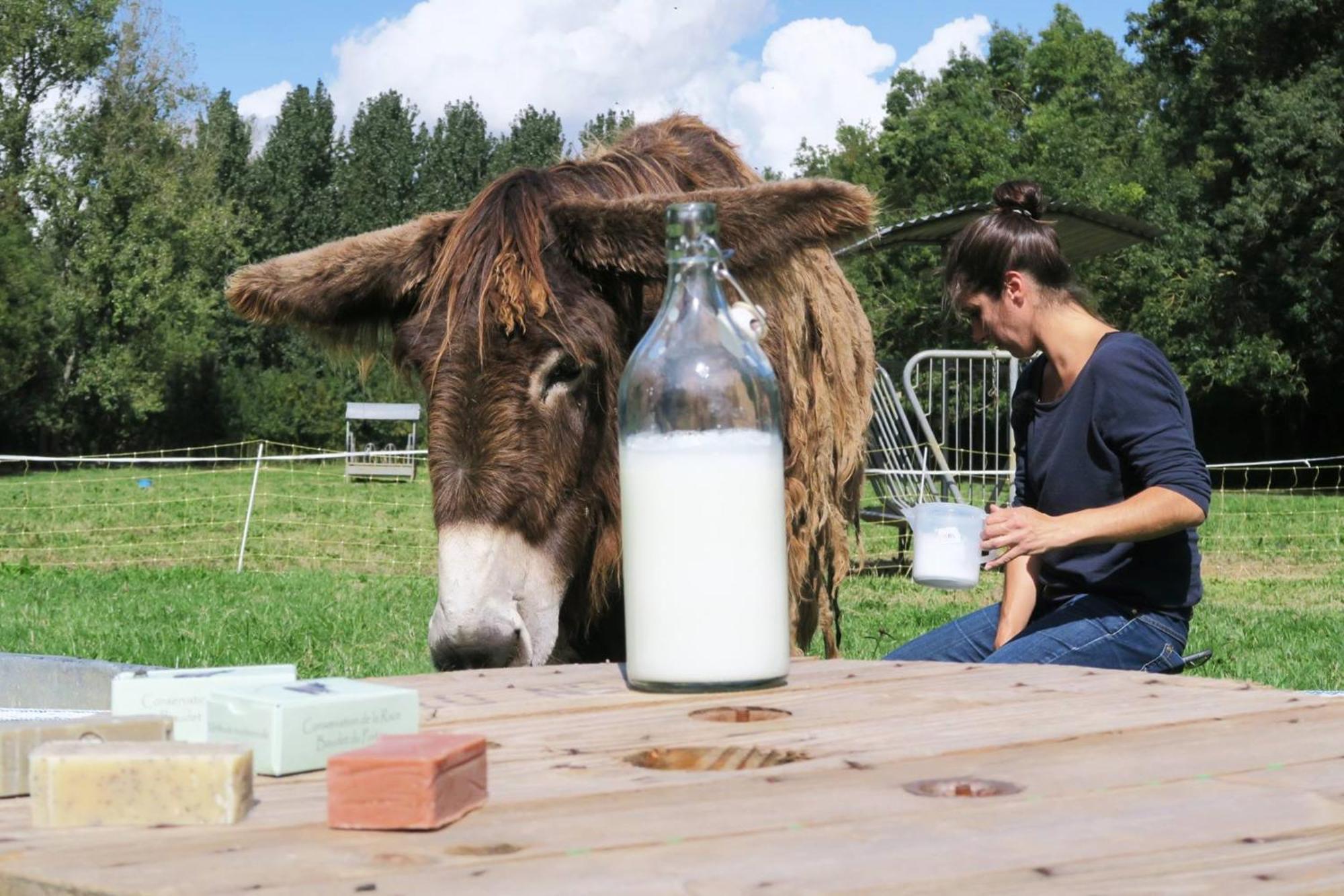 La Ferme Du Marais Poitevin - Roulotte Hotel Benet ภายนอก รูปภาพ