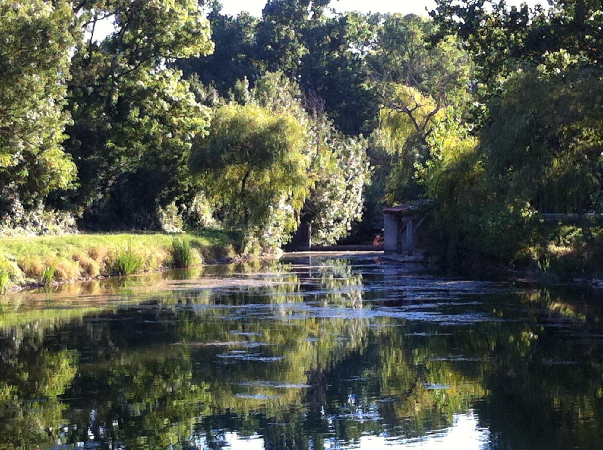 La Ferme Du Marais Poitevin - Roulotte Hotel Benet ภายนอก รูปภาพ